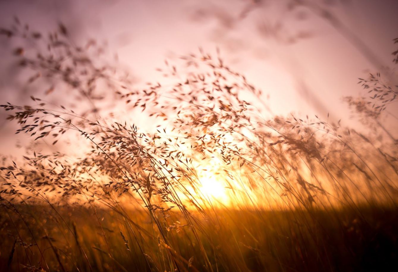 A Kusen by Guy Mokuhô Mercier