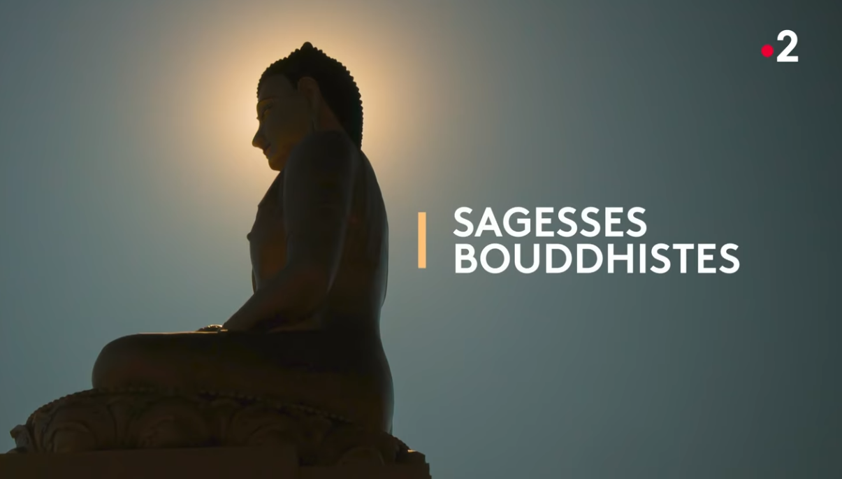 Nouvelle émission sur France Télévisions