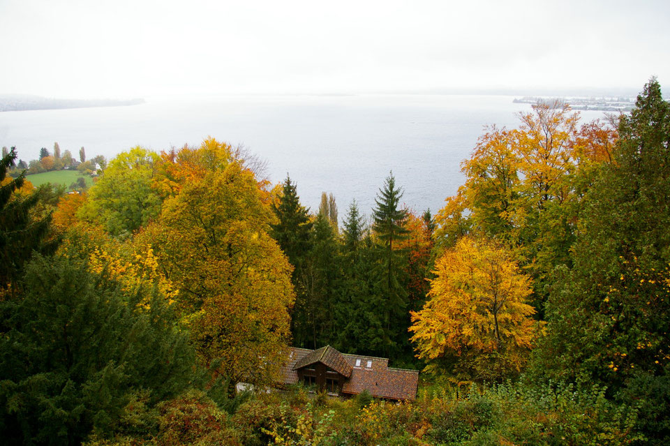 Sesshin à la Haus Wartburg – Lac de Constance (Suisse)